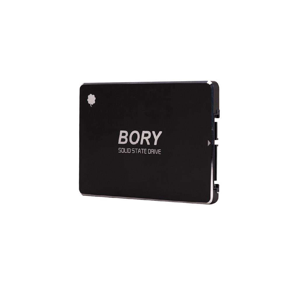 BORY%20R500-C1T%201Tb%20550/510%20SATA3%20SSD