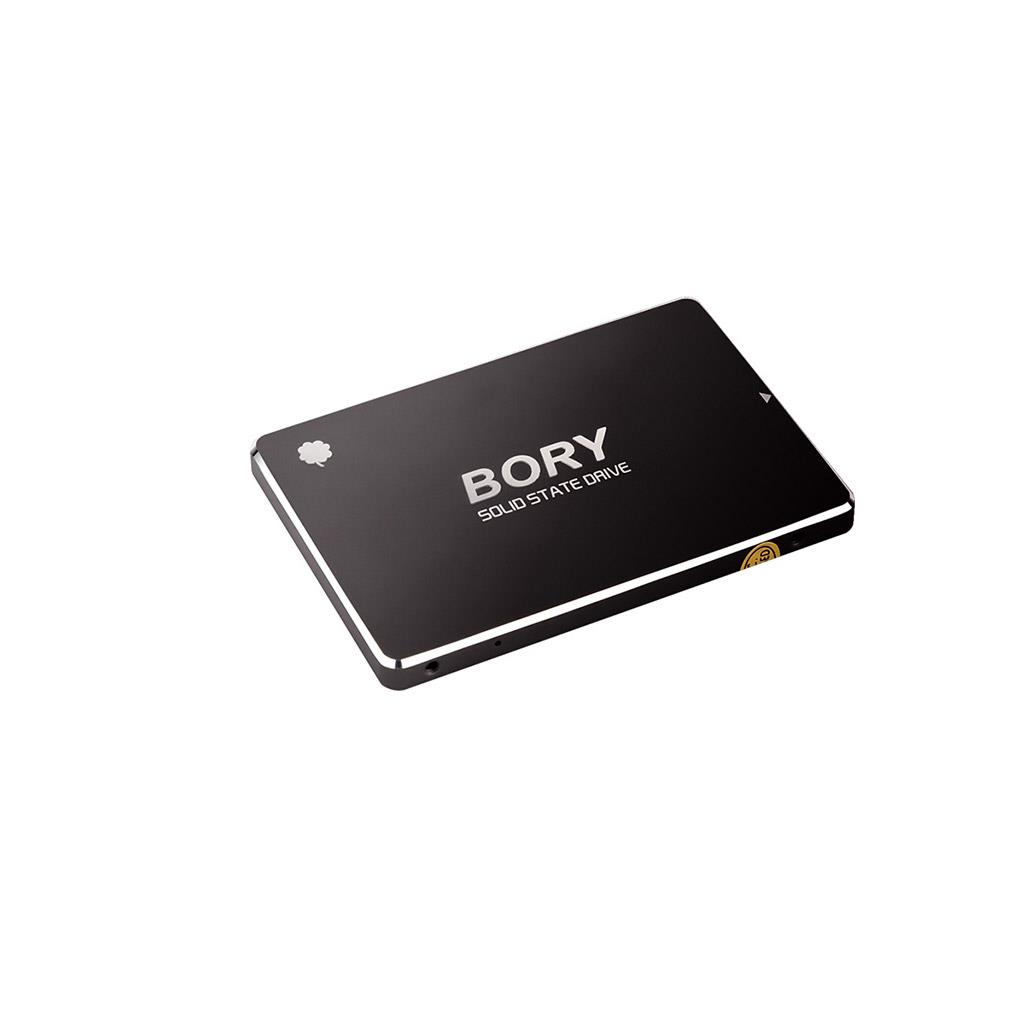 BORY%20R500-C1T%201Tb%20550/510%20SATA3%20SSD