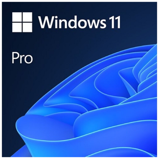 Microsoft Windows 11 Pro 32/64 Bit TR-ING ESD Elektronik Lisans (FQC-10572)